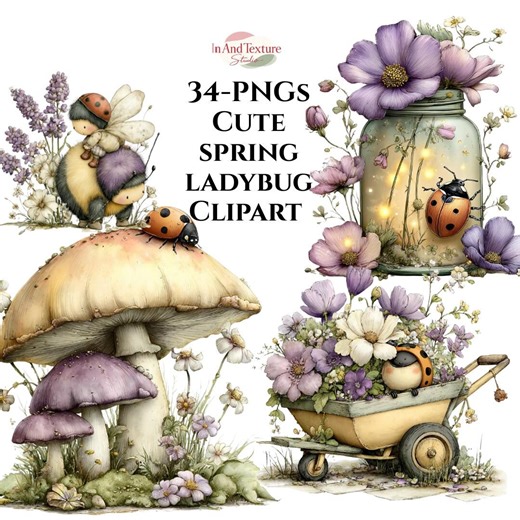 Spring Ladybug Clipart Bundle, Watercolor Whimsical Ladybird PNG Set (digital Download) - Etsy