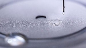 Self-Healing Spray-On Waterproof Coating Created