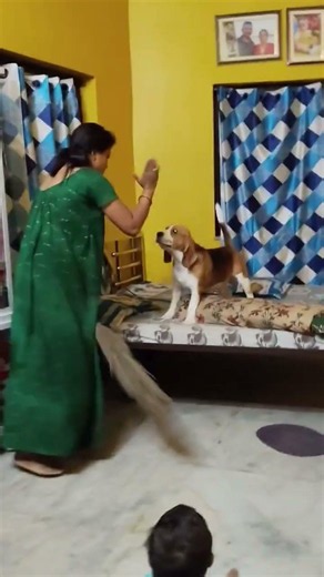 ঝাঁটা কান্ড 🤣🤣 #funny #comedyforever #funny
