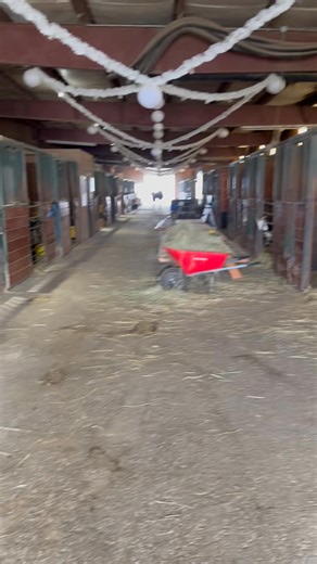 I had quite the audience today. I’m glad everyone is making sure I’m doing my job correctly! | Ethan James