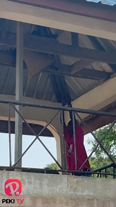 When is this ancient giant bell rung, and what does it signify? #visitPeki | Peki TV