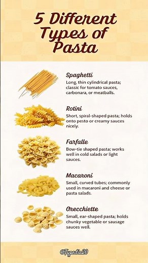 Different Types of Pasta You Should Know 🍝