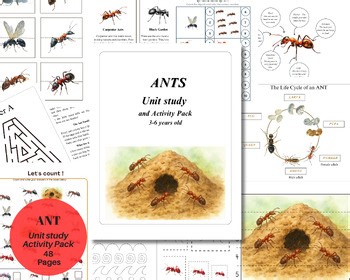 Ant Unit Study and Activity Pack for children aged 3-6, Instant Download