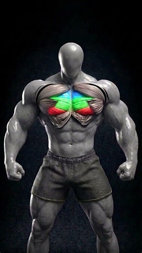 COMPLETE CHEST WORKOUT WITH 2 DUMBBELLS + THE FLOOR 🔥 #bodybuilding #sports #lightweightsport