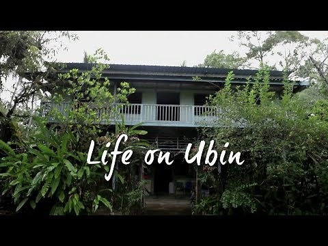 Life on Ubin