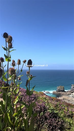 counting down the days until we head to Cornwall for a long weekend this summer!! 🌊 I’ve visited a few spots in Cornwall but St Agnes and St Ives are my firm favourites because of the good food, beaches and walks !! 🏖️ #cornwall #englishsummer #englishbeaches #staycation #summer