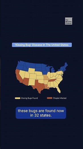‘Kissing Bug’ Disease Is Spreading In The US