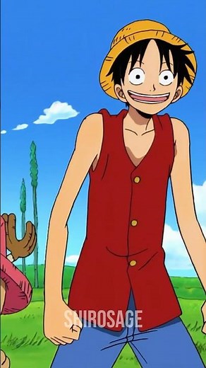 Luffy’s Dumbest Moments!