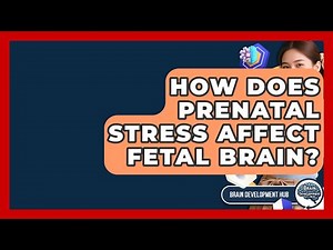 How Does Prenatal Stress Affect Fetal Brain? - Brain Development Hub