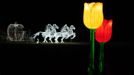 Winter Wonderland at Holland Ridge Farms