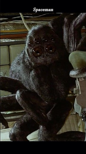 🕷️👨‍🚀 Adam Sandler Meets a GIANT Spider in SPACEMAN! | Netflix Sci-Fi Explained