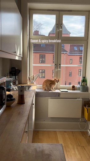 Sweet banana granola and spicy avocado toast 🌶️👌🏻 sunny morning in Oslo, Norway 🇳🇴 #breakfast #granola #avocado #avocadolover #catinkitchen #oslo #oslonorway #norway #sunnyhome #altbau