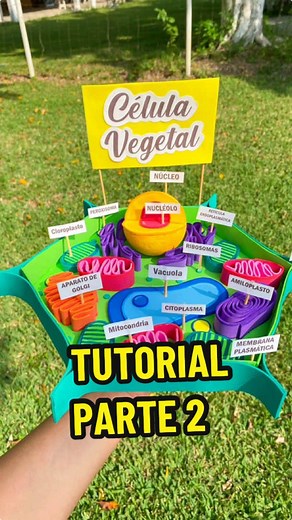 Maqueta de Célula Vegetal: Paso a Paso