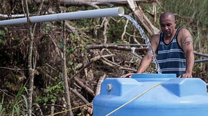 In Puerto Rico, a Hopeful Sight: Endangered Parrot Spotted After Hurricane Maria