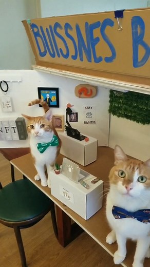 Lunch Orders for the Business Cats #cats #businesscats #catdad #usa_tiktok #talkingcat #unitedkingdom | Doug the business cat