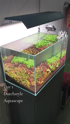 Day 1 of Dutch Style Aquascaping Journey
