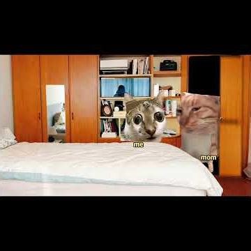 Mom always barges into my room without knocking #shorts #cat #catmemes #relatable #funny