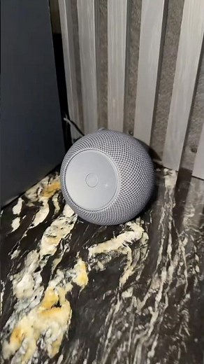 Are the New Echo Dot Max Speakers Actually Worth It? Unboxing & First Impressions!