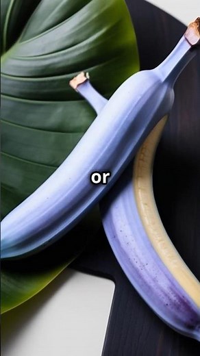 Exploring the Unique Blue Banana | Unique Mania