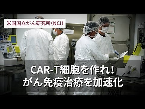 CAR-T細胞を作れ！がん免疫治療を加速化／米国国立がん研究所（NCI）