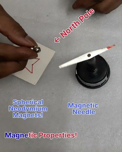 Properties of Spherical Magnet! #physics #prayog #science #vigyan #neodymium #polarity #planmystudy
