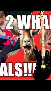 DOUBLE WHAMMY TO THE FLOWERS WRITING