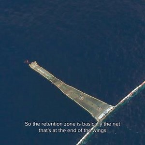 19K views · 1.1K reactions | System 03 is designed to catch plastic, not fish. We have incorporated years of technical and scientific learning into our technology to ensure maximum environmental benefits. Watch the full video on how we ensure environmentally sound cleanup: https://youtu.be/ijzg7sxFwTo | The Ocean Cleanup | Facebook