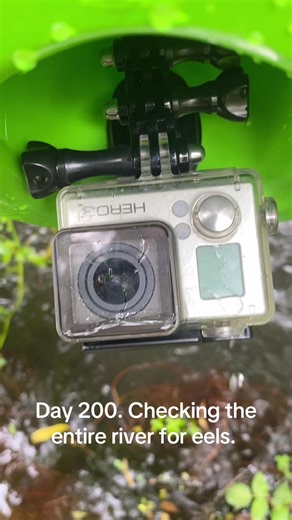 Day 200! 14th of January. #eeltok #eelcheck #eelfeels #bridgecheck #eel thanks to everyone who watches and supports us. Means a lot that everyone enjoys the content!