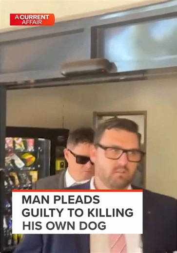 The Disturbing Truth Behind Arnie the German Shepherd