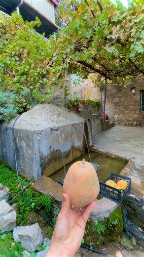 🌳🏡#nature#naturephotography#travelphotography#⛰ | SepaL