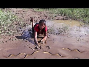 Survival skills: Catch and cook many eel - Eel soup spicy delicious for dinner