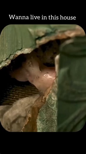 hui cheng on Instagram: "Movie 🎥🍿 – Mr. K CBFC Rating: A (Expected) Genre: Psychological Horror / Surreal Thriller Duration: ~1h 35m Original Release: 2024 Streaming on: Not officially announced IMDb: Mr. K (2024) Synopsis 🕯️ Mr. K follows a mysterious traveling magician who checks into a strange, old hotel—only to realize he cannot find the exit. As time passes, the hotel becomes increasingly surreal, filled with bizarre guests, shifting corridors, and unsettling rules. Trapped inside an end