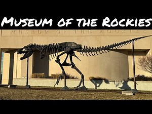 Explore the Museum of the Rockies