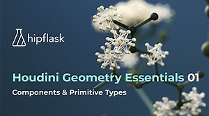 Geometry Essentials 01: Components & Primitive Types | SideFX
