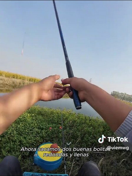 Surfcasting Fishing Techniques for Beach Anglers