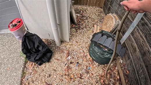 Eastern Brown Snake relocated from a property in Redbank Plains 📲 0478 535 687 Available 24/7 #IpswichSnakeCatchers #IpswichSnakeCatchers247 #SnakeCatchersIpswich247 #BrisbaneWestSnakeCatcher247 #RapidSnakeCatchers247 #LockyerValleySnakeCatchers #SnakeRelocation #WildlifeAwareness #SnakeSafety #PetSafety #QueenslandSnakes #SnakeCatchersQLD #LivingWithWildlife #ReptileEducation #IpswichSnakes #BrisbaneWest #ScenicRim #LockyerValley #SomersetRegion #24hrSnakeCatcher #fyp #foryoupage #Easternbrown