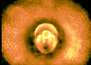 Afterlife is a short film that imagines life after death