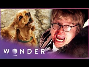 This Man's Life Was In Danger Until His Dog Saved Him | Pet Heroes S1 EP1 | Wonder