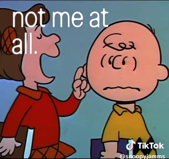 #snoopy #viral #lyrics #fyp #charliebrown | snoopy