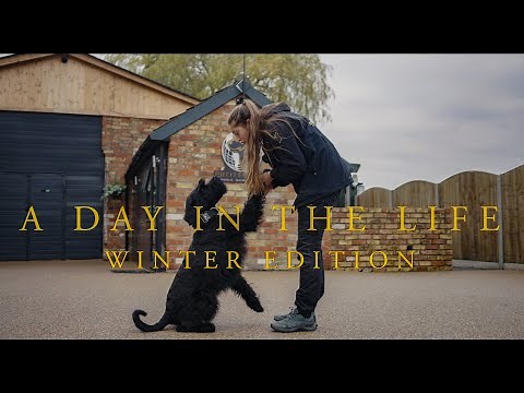 A Day in the Life at Protection Dogs Worldwide: Winter Edition