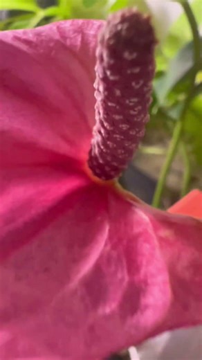 Using 3D printing for an aquarium! #3dprintingtechnology #3dprintedfishtank #3dprint #cool3dprints