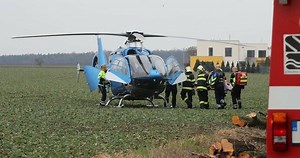 Obrovské neštěstí u Prahy: Na muže (81) spadl při kácení strom! Vrtulník ho přepravil do nemocnice