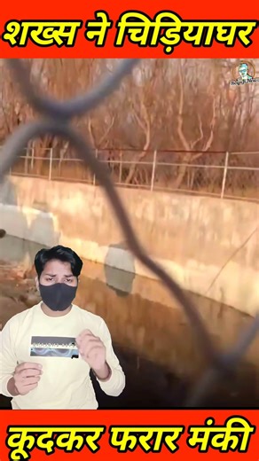 छड़ी का जादू! शख्स ने चिड़ियाघर में कैद बंदर को भगाया, डंडे के सहारे दीवार #monkey