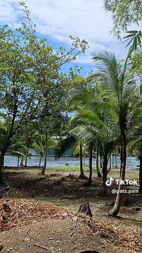 Descubre la Belleza del Parque Cariari ICODER