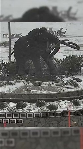 Snowing at Mammoth Mountain Yesterday! ❄️☃️
