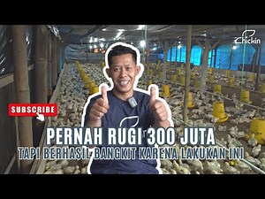 This Broiler Chicken Farmer Has Been Raising Chickens for Over 10 Years, and Shares His Knowledge...