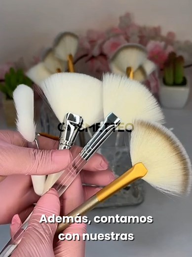 Brochas Profesionales para Faciales en Ecuador