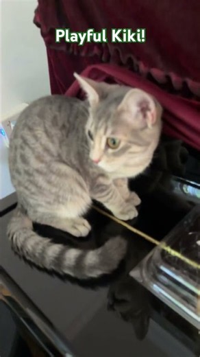 Play Kiki.