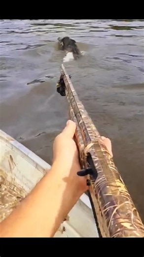 Охота на дикого кабана с лодки на воде#chasse #wildboar#cinghiale#jabali #battue