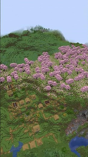 EPIC MOUNTIAN CHERRY GROVE Minecraft Seeds for 1.20